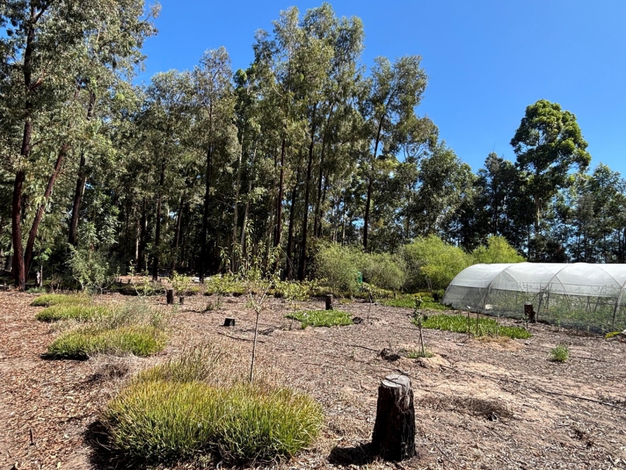 3 Bedroom Property for Sale in Twee Riviere Eastern Cape